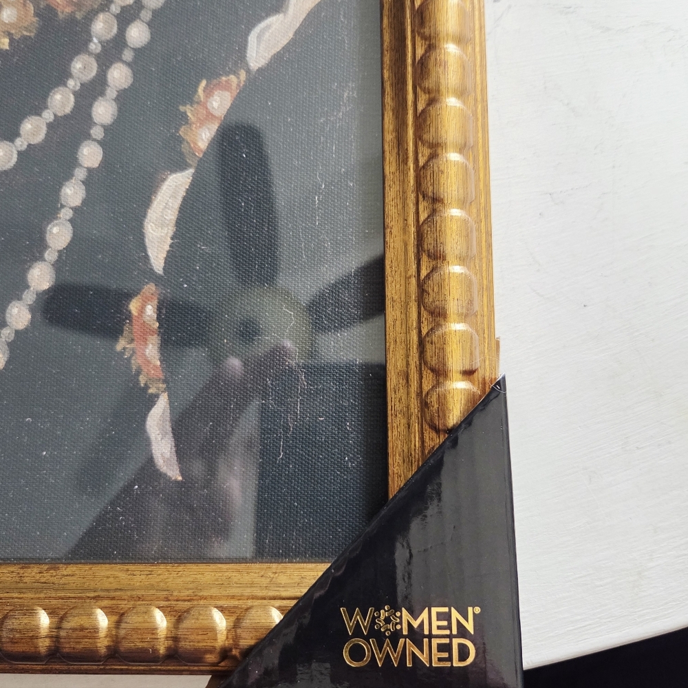 NWT Sapna Shah 12 x 18 Queen Elizabeth Dress Framed Art Print Glass. - Picture 3 of 5
